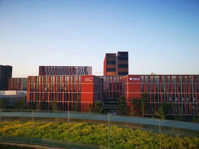 双辽900型彩钢板厂家