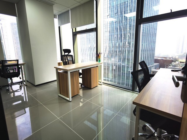 水培绿化树季节